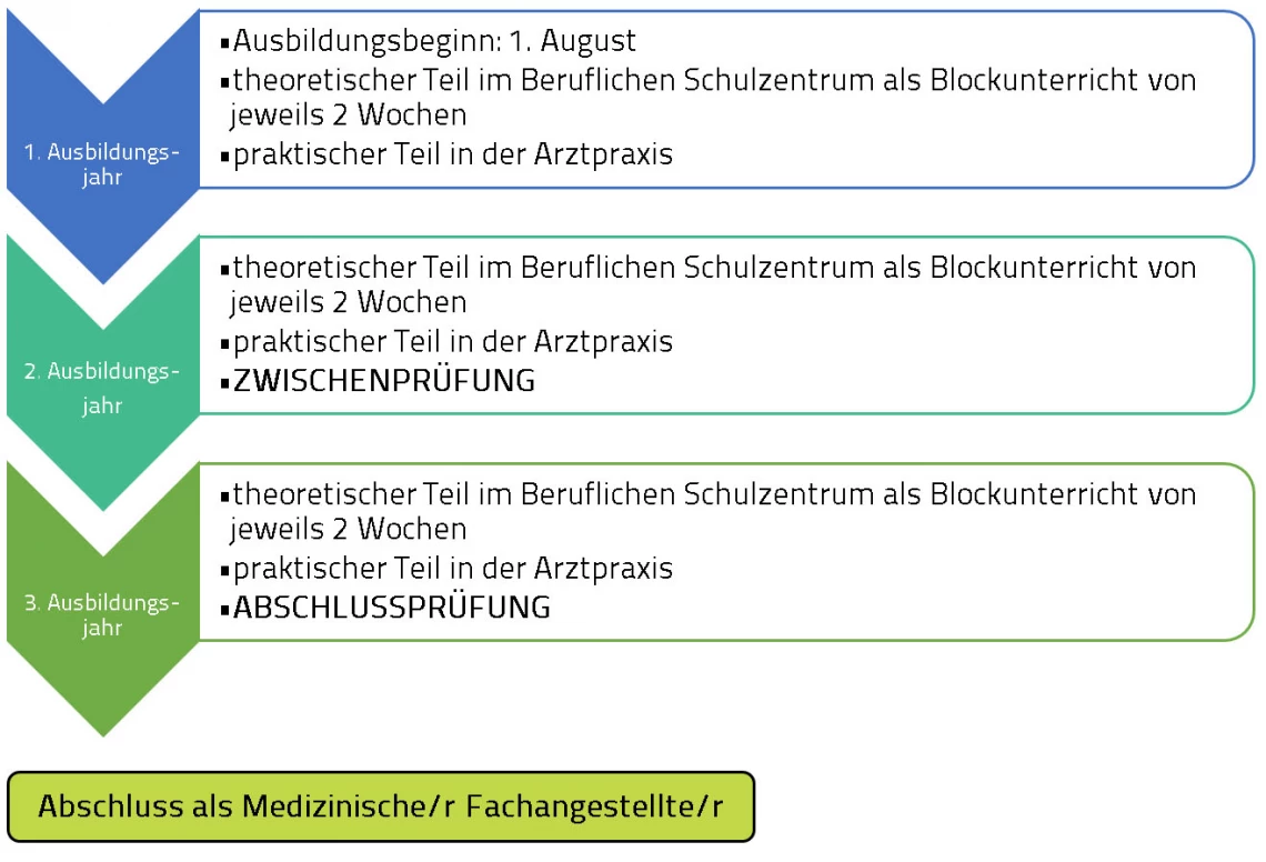 Ablauf der Ausbildung Medizinische Fachangestellte