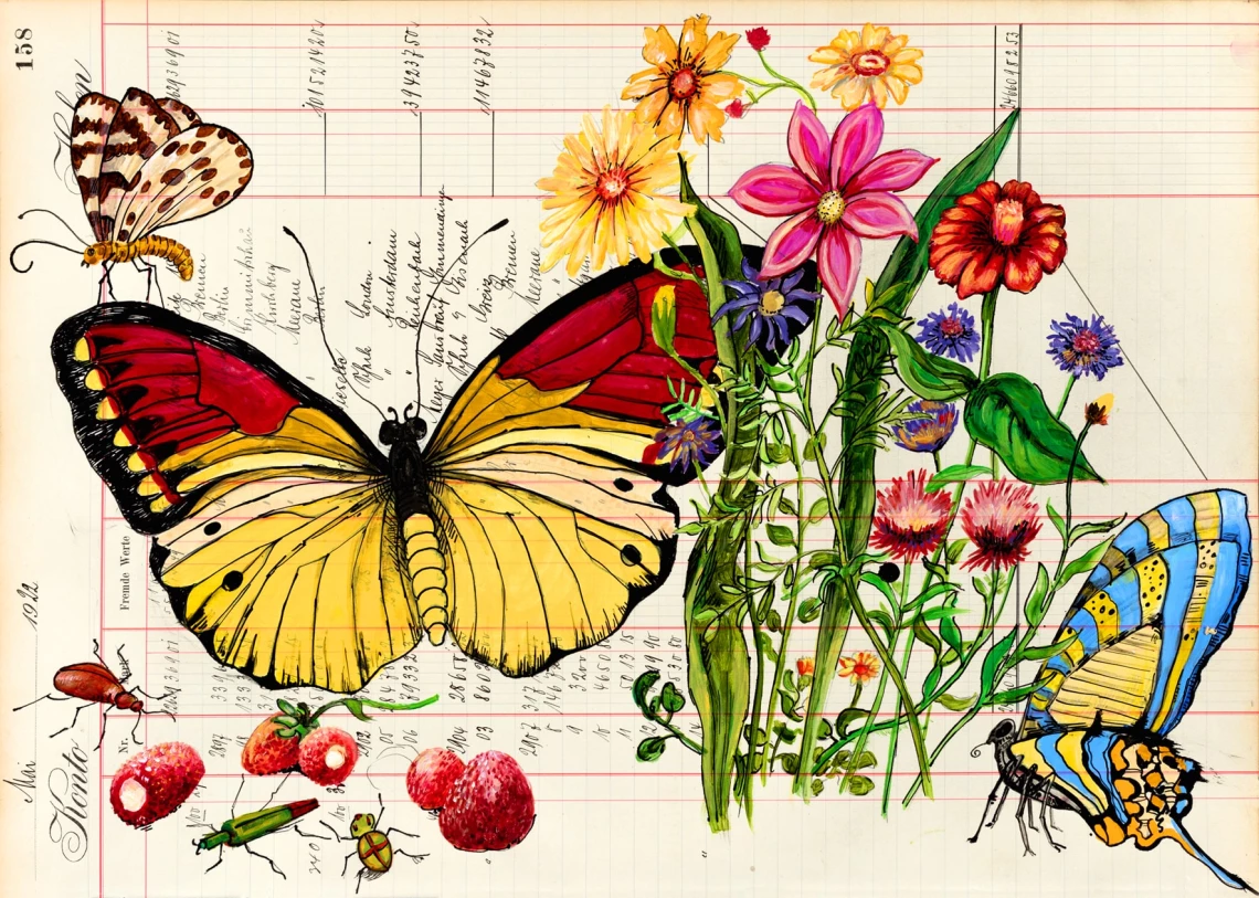 Blütenwunder - Schmetterling Postkarten von Thomas Gatzemeier