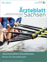 Teilansicht eines Sportruderbootes - 4 Hände umfassen 4 Ruder