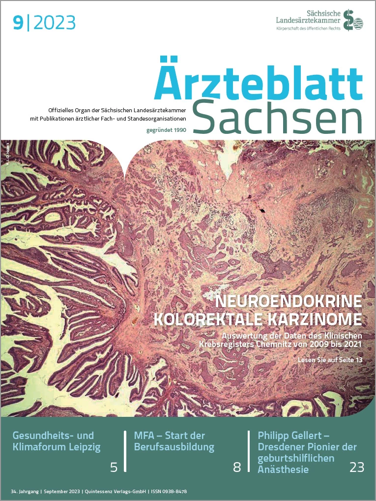Bild eines Gewebeschnittes